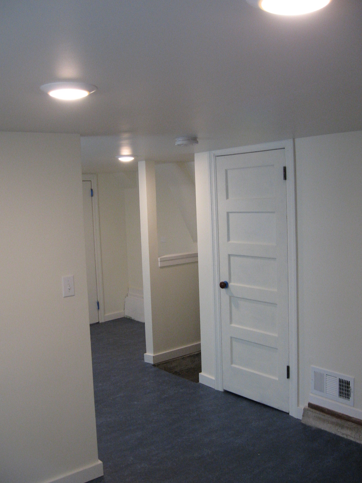 Nancy's Basement Remodel