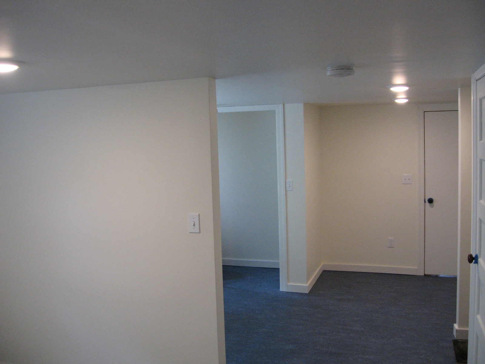 Nancy's Basement Remodel