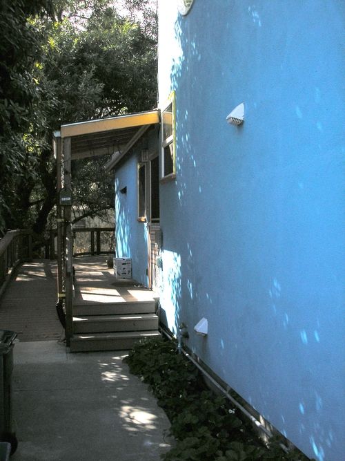 The Blue House